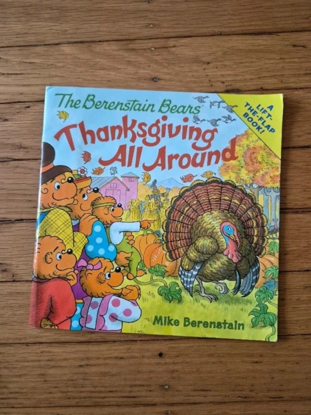The Berenstain Bears Thanksgiving All Around